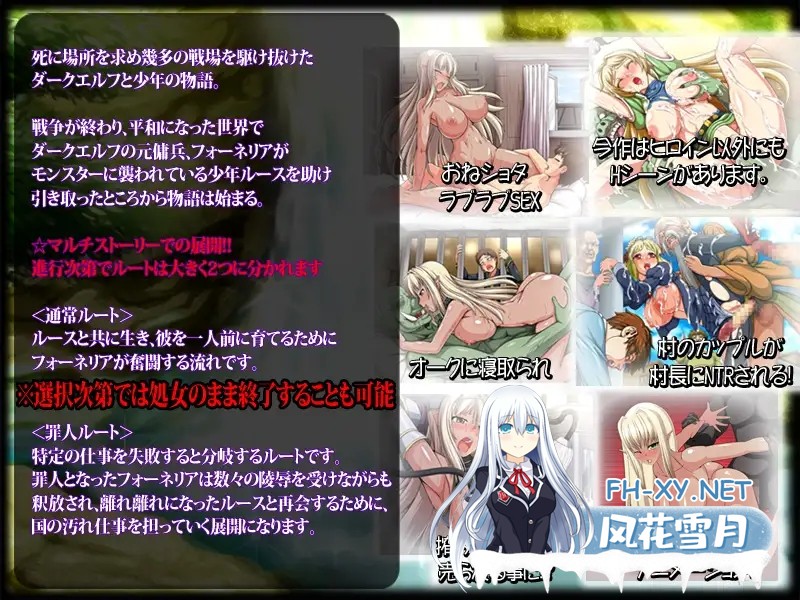 [RPG/汉化/全动态/露出/NTR/巨乳][RJ173356/ONEONE1社团]暗精灵编年史/ダークエルフのヒストリア[Ver1.00+全CG存档][PC/1.5G]-2.jpg