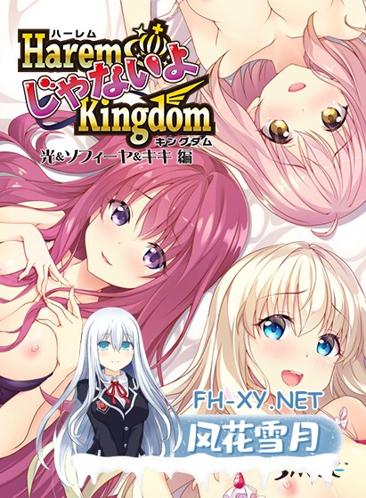 [ADV/巨乳/自慰/汉化/口交/乳交]HaremじゃないよKingdom 光＆ソフィーヤ＆キキ 編[+全CG存档][PC/2.23G]-4.jpg