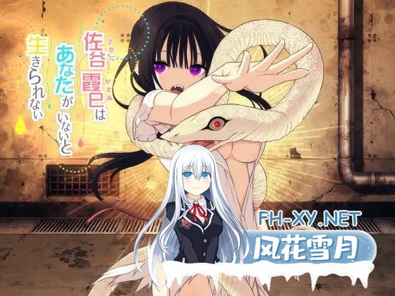 [RPG/AI汉化/巨乳/同居/羞耻][RJ01034061/三代錆社团]佐谷霞巳没有你就活不下去/佐谷霞巳はあなたがいないと生きられない[+作弊码][PC+安卓/1.3G]-2.jpg
