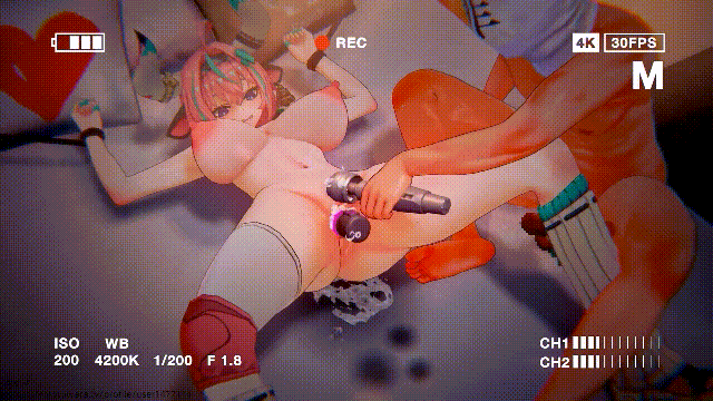 2552 (8).gif