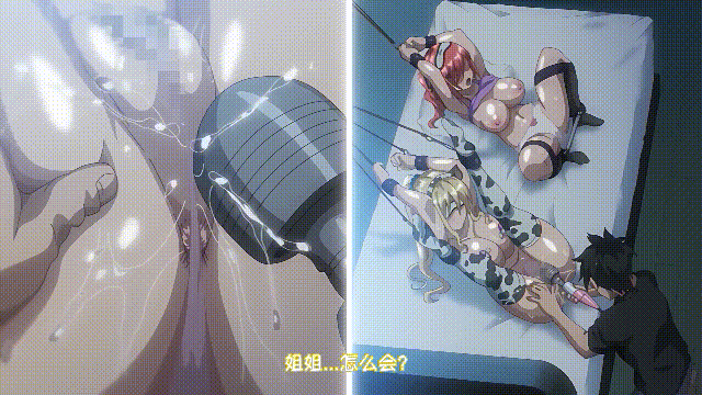 2589 (7).gif