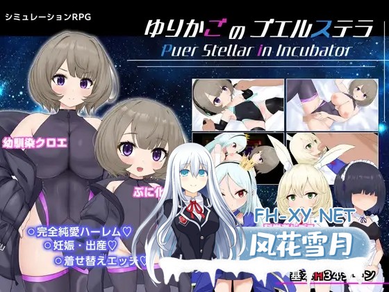 [RPG/机翻+AI文本/萝莉/怀孕/巨乳/西瓜肚][RJ01605204/ラストリゾート社团]摇篮中的普埃尔斯特拉/ゆりかごのプエルステラ[Ver1.1][PC/1.0G]-5.jpg