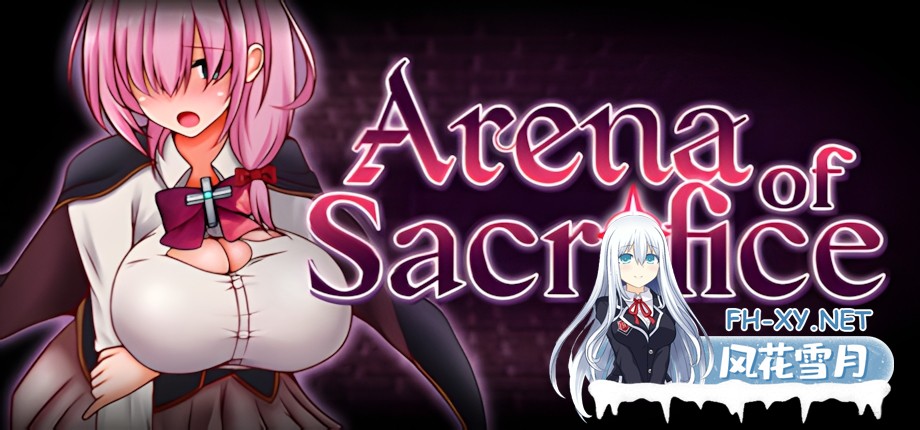 [日系ACT/官中/步兵/PC]献祭竞技场 Arena of Sacrifice 官方中文步兵版[255M]-8.jpg