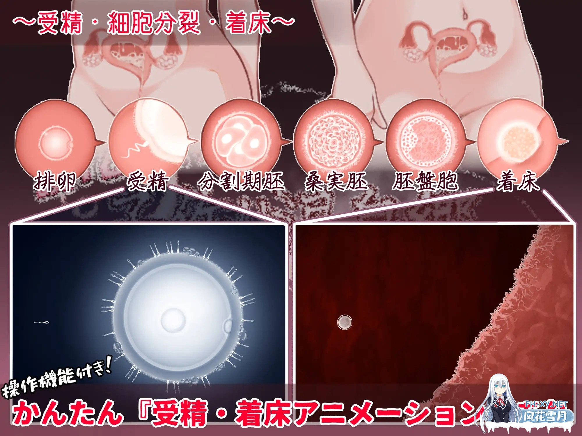 [RPG/机翻+AI文本/淫叫/中出/怀孕/西瓜肚][RJ01526327/たいちょん工房社团]欢迎来到！孕育温泉乡/おいでませ！子作り温泉郷[PC/530M]-4.jpg