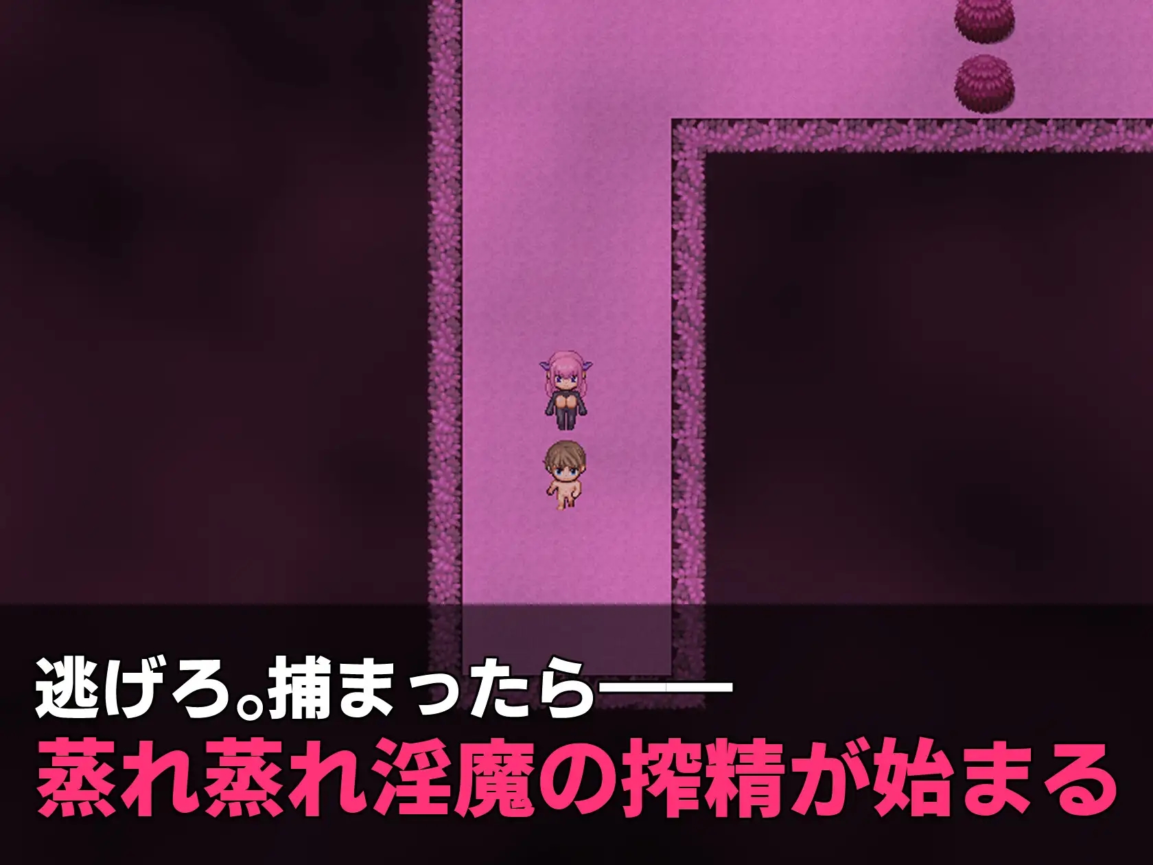 [PC][新作RPG/AI汉化/小马拉大车/2D]淫魔逃脱！～从闷热的森林中逃出～ 淫魔えすけーぷ！～蒸れっ蒸れの森からの脱出～ [1.10GB]-2.jpg