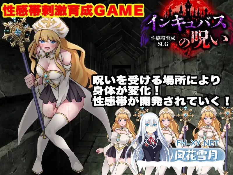 [RPG/AI汉化/魅魔/堕落/异种X/触手][RJ01650425/天粋球児社团]敏感带培育SLG 梦魔的诅咒/性感帯育成SLG インキュバスの呪い[PC/410M]-7.jpg