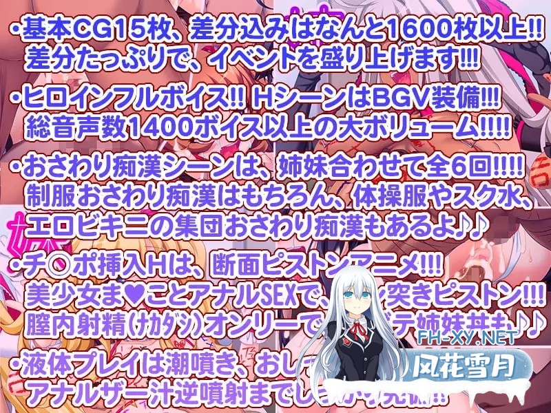 [SLG/AI汉化]处女×痴汉列车～美少女姐妹·车内强暴～ 処女×痴漢列車～美少女姉妹・車内レイプ～ v1.0.2[1.36G]-6.jpg