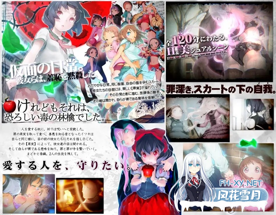 [拔作ADV/全动态]輪舞曲Duo:黎明的扶她祈愿者 V1.1 精翻汉化版[12G]-4.jpg