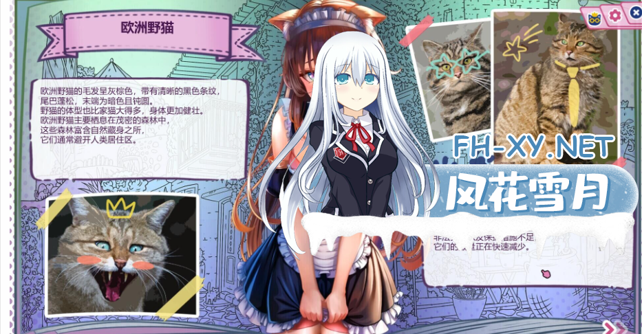 36020260911082115.png