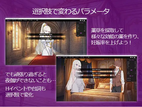 large-4.webp